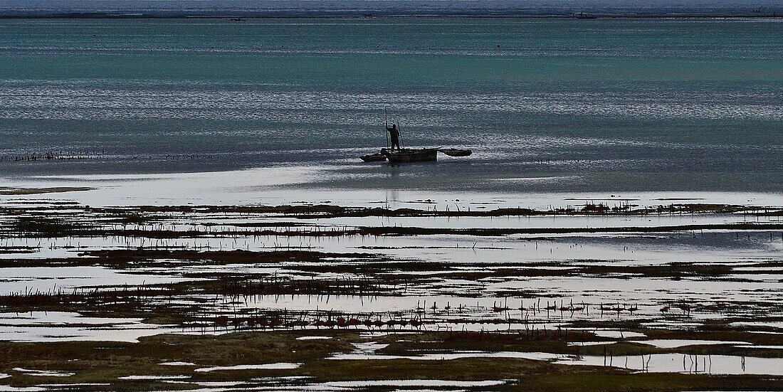 Tanzania, Zanzibar, Jambiani