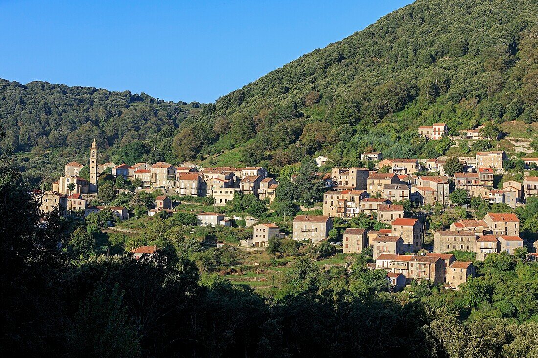 France, Corse du Sud, Levie