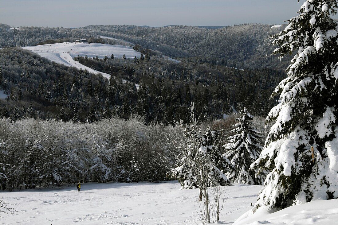 France, Vosges, Hautes Vosges, from the Route des Cretes, to the Hohneck, the ski slopes of La Bresse Hohneck