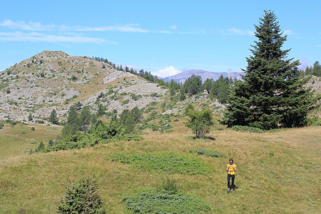 France, Hautes Alpes, Haut Champsaur, Ancelle, hiking to Col de Moissiere