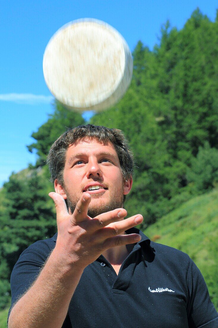 France, Hautes Alpes, Haut Champsaur, Ancelle, breeder (Edouard Pierre) of goats and ewes and his tomme