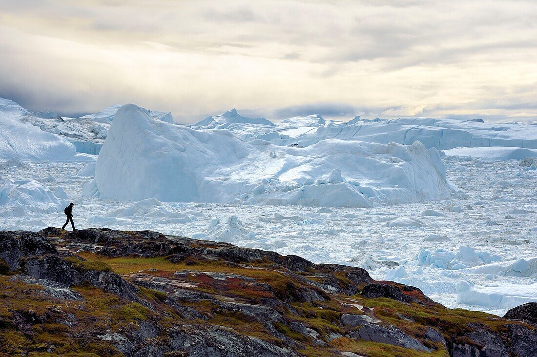 Grönland, Westküste, Diskobucht, Ilulissat, Wanderer am Rande des von der UNESCO zum Welterbe erklärten Eisfjords, der die Mündung des Sermeq-Kujalleq-Gletschers (Jakobshavn-Gletscher) ist