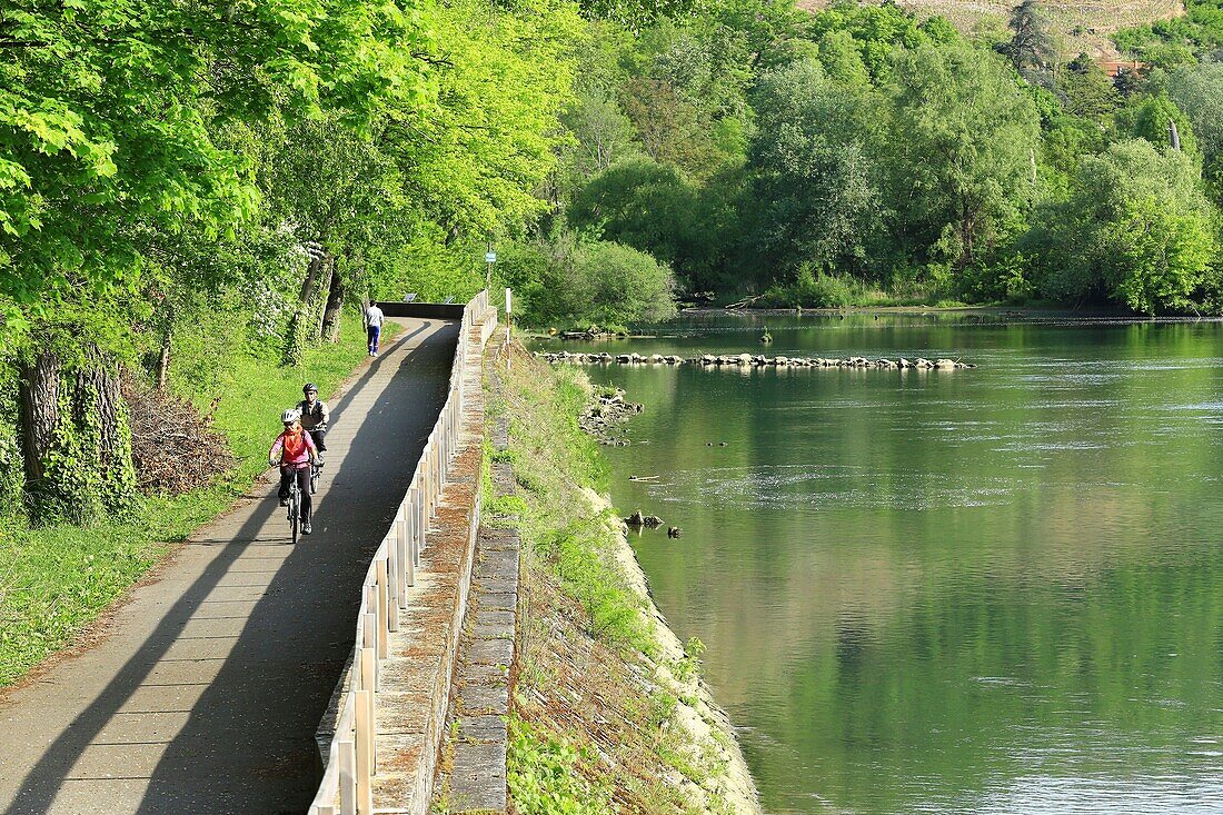 France, Rhone, Condrieu, Via Rhona along the Rhone