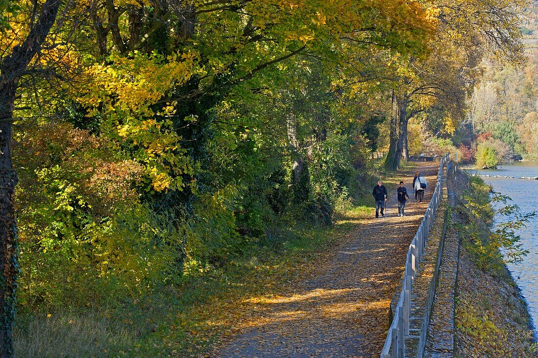 France, Rhone, Condrieu, Via Rhona along the Rhone