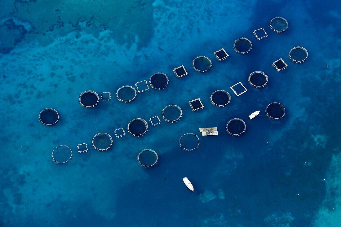 France, Corse du Sud, Gulf of Santa Manza, Bonifacio, marine farm (aerial view)