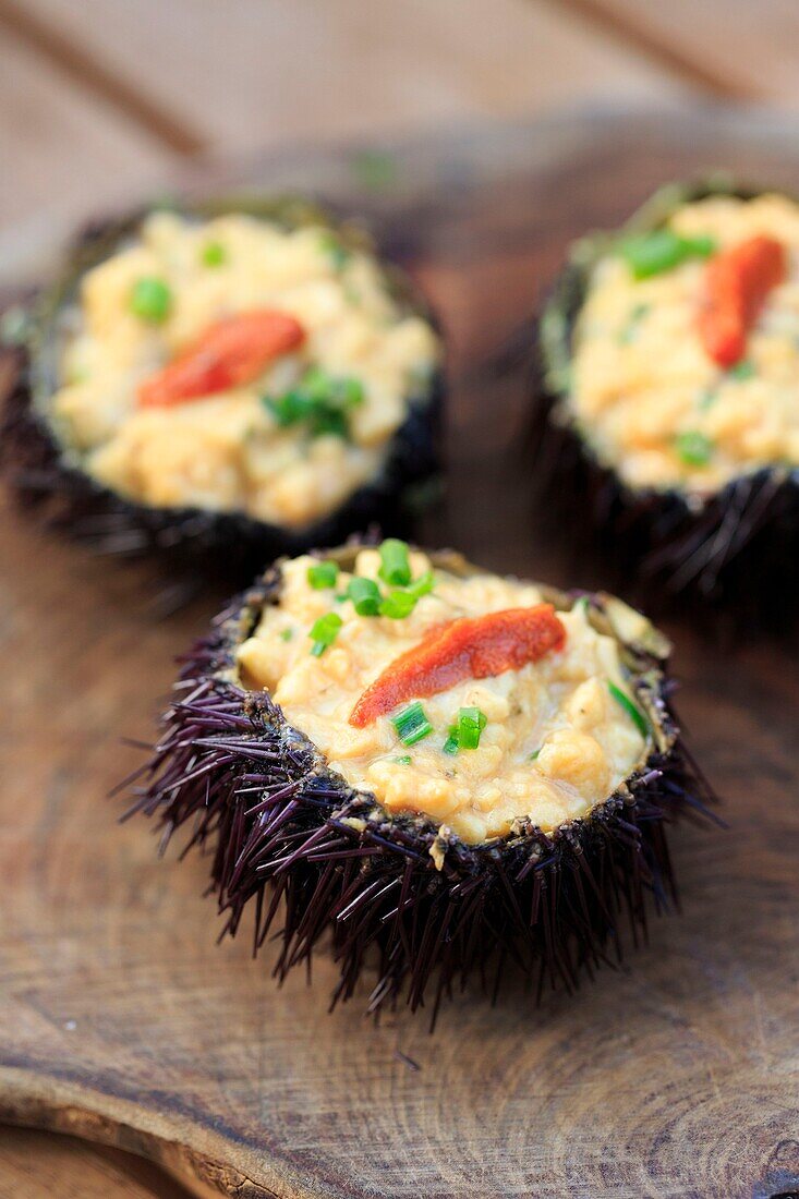 France, Corse du Sud, Freto, Bonifacio, Da Passano, restaurant, sea urchin scramble