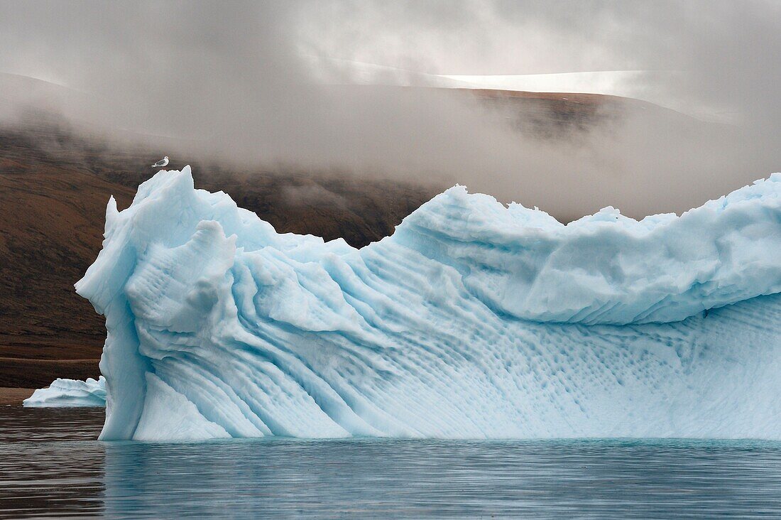 Greenland, North West coast, Baffin Sea, iceberg in Inglefield Fjord towards Qaanaaq and the ice cap in the background