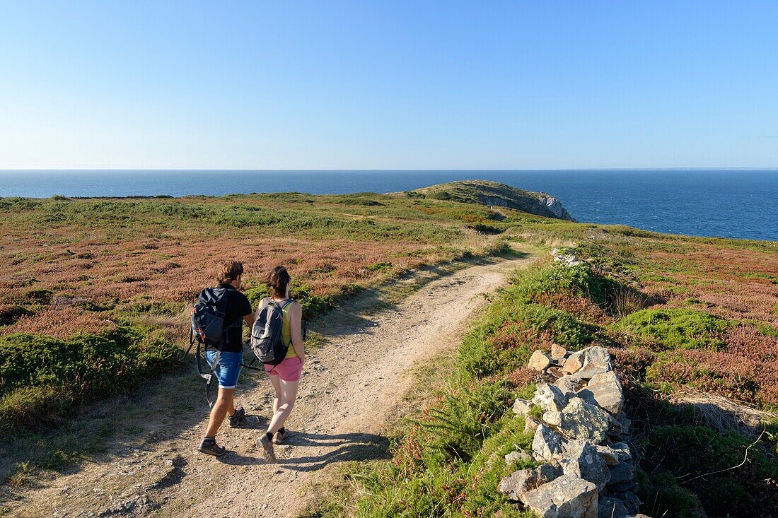 France, Finistere, Cleden Cap Sizun, the GR34 on the northern coast of Cape Sizun