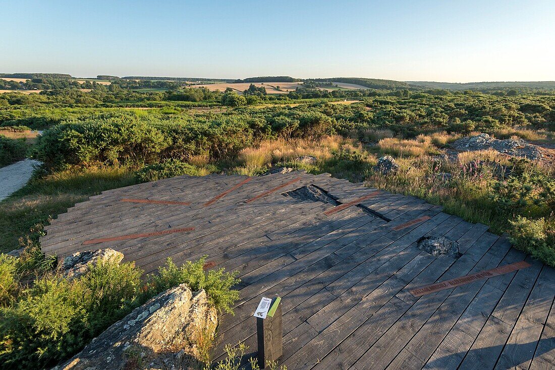 France, Ille et Vilaine, Saint-Just, protected natural area the moors of Cojoux