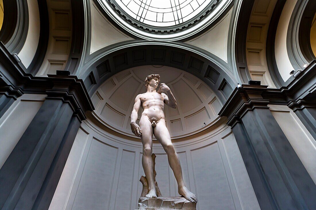 Italy, Tuscany, Florence, historic centre listed as World Heritage by UNESCO, Galleria dell 'Accademia, statue of Michelangelo's David
