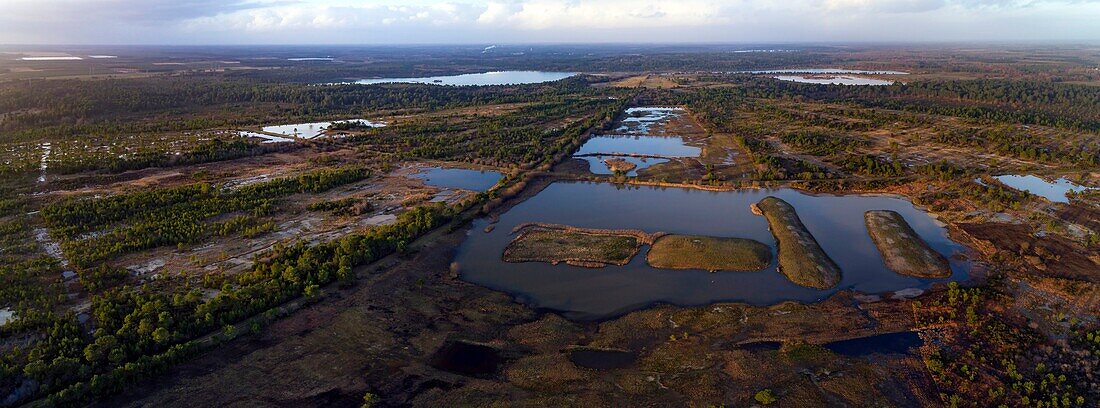 France, Landes, Arjuzanx, created on the site of a former lignite quarry, the National Nature Reserve of Arjuzanx welcomes tens of thousands of cranes (Grus grus) each year, the time of a wintering, aerial view