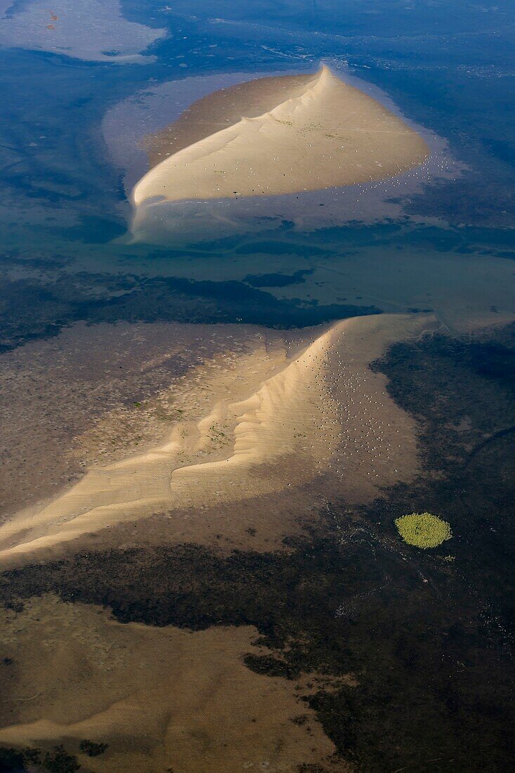 Frankreich, Gironde, Bassin d'Arcachon, La Teste de Buch, Pyla sur mer, Dune du Pilat, Sandbank bei Ebbe (Luftaufnahme)