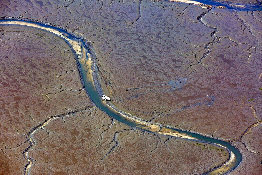 France, Gironde, Bassin d'Arcachon at low tide seen from the sky