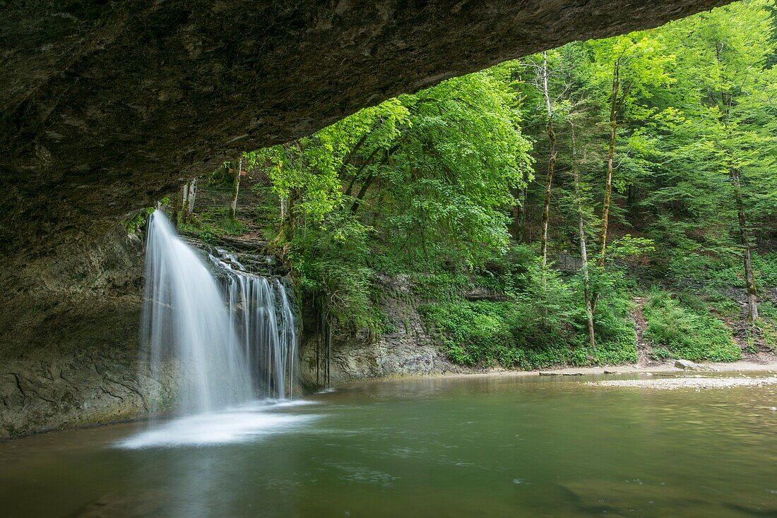 France, Jura, the site of the waterfalls of the Herisson, the blue Gour