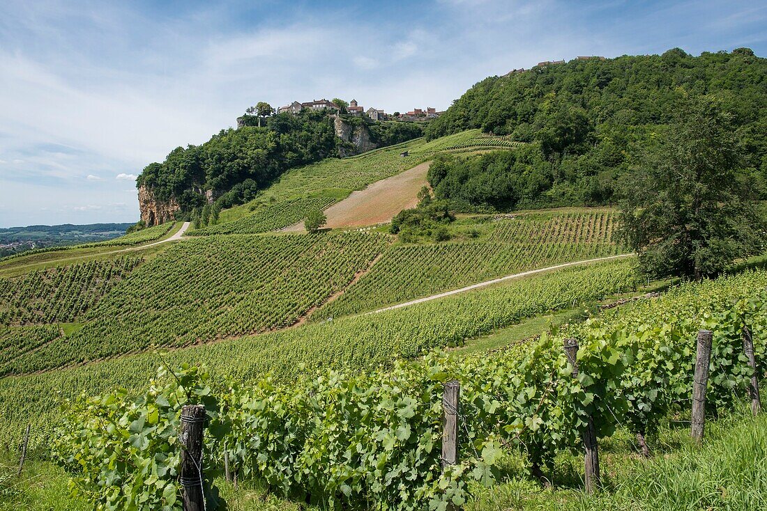 France, Jura, Chateau Chalon, the vineyard