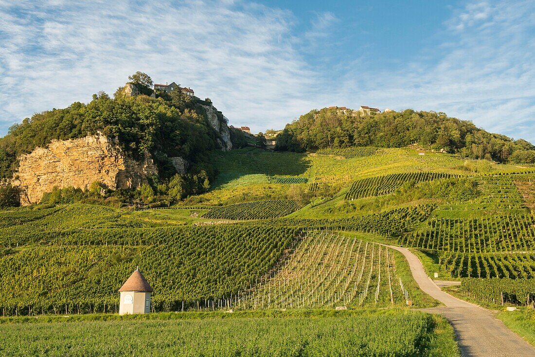 Frankreich, Jura, Chateau Chalon, Weinberge an den Hängen des Westens