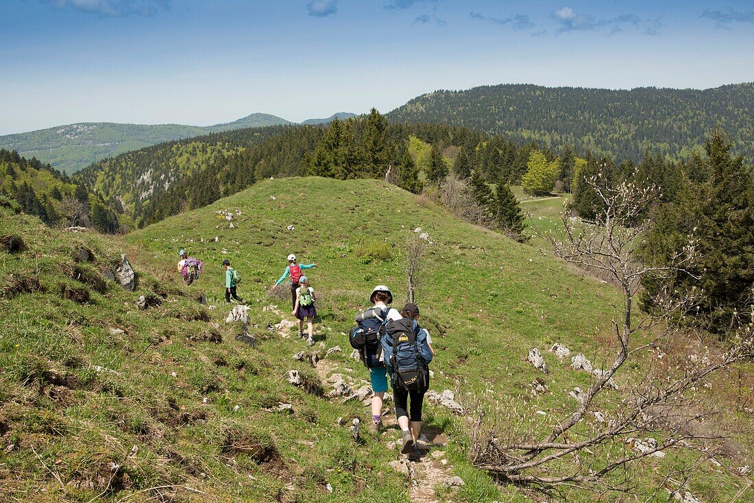 Frankreich, Ain, Bellegarde, Juramassiv, Wanderung zum Crêt de la Neige, auf den Bergrücken