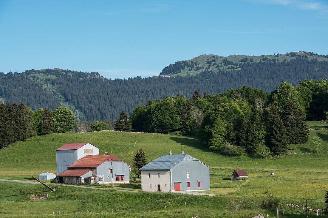 Frankreich, Jura, das Dorf Lajoux und der Berg Colomby de Gex