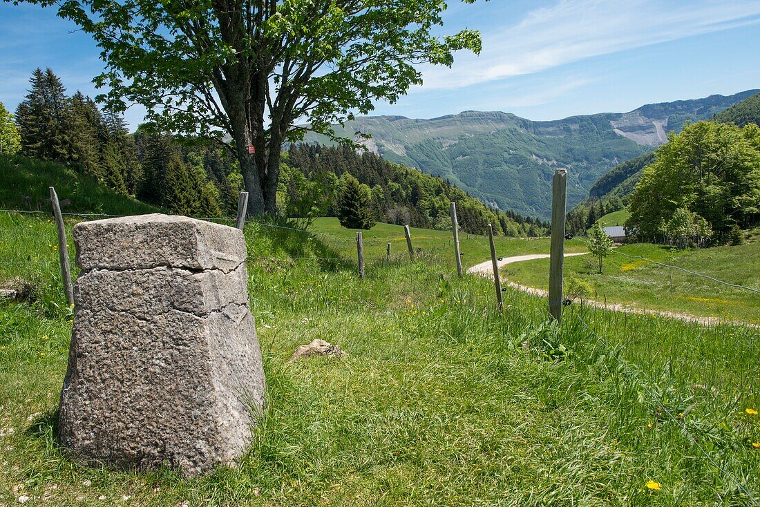 France, Jura, la Pesse, the Lion terminal and the crest of the Snow