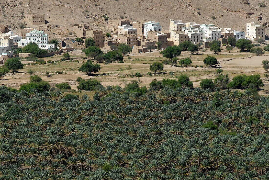 Jemen, Gouvernement Hadhramaut, Wadi Do'an, Khaila, Lehmhäuser