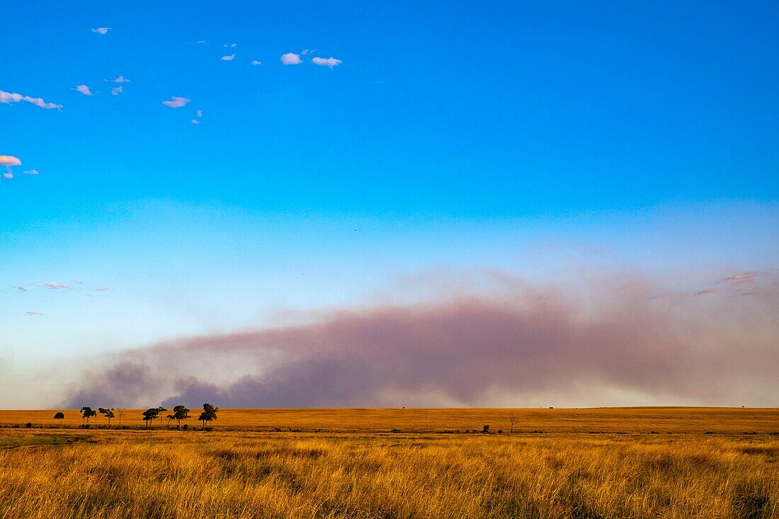 Kenya, Masai Mara Game Reserve, the plains with bushfires