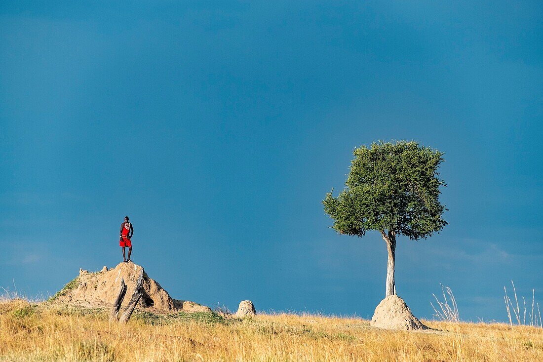 Kenya, Masai Mara Game Reserve, Masai man looking at the plains from a termite hill