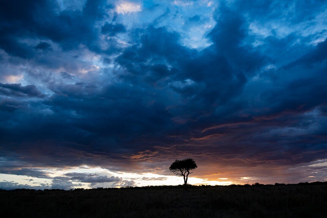 Kenya, Masai Mara Game Reserve, the plains under a storm at sunset