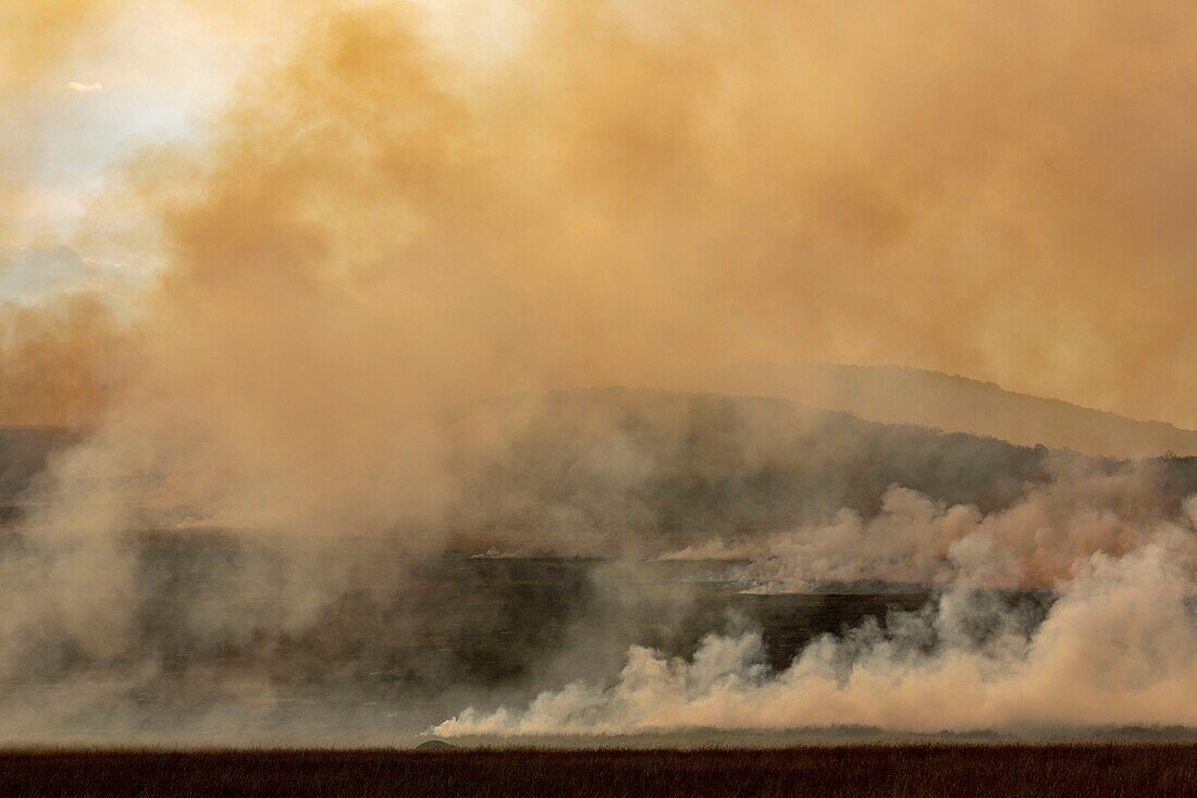 Kenya, Masai Mara Game Reserve, the plains with bushfires