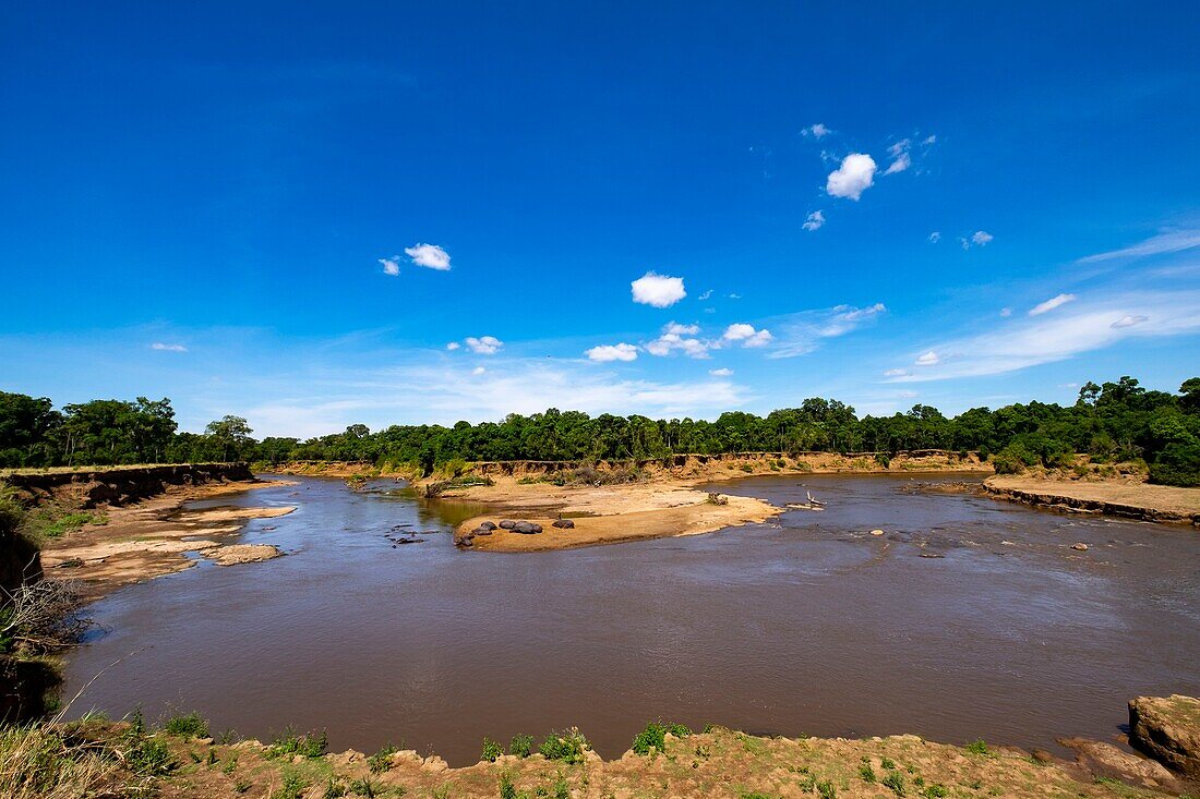 Kenya, Masai Mara Game Reserve, the Mara river