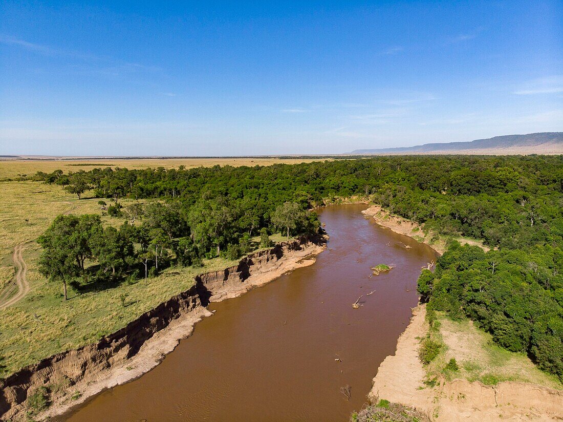 Kenya, Masai Mara Game Reserve, Mara river from a drone