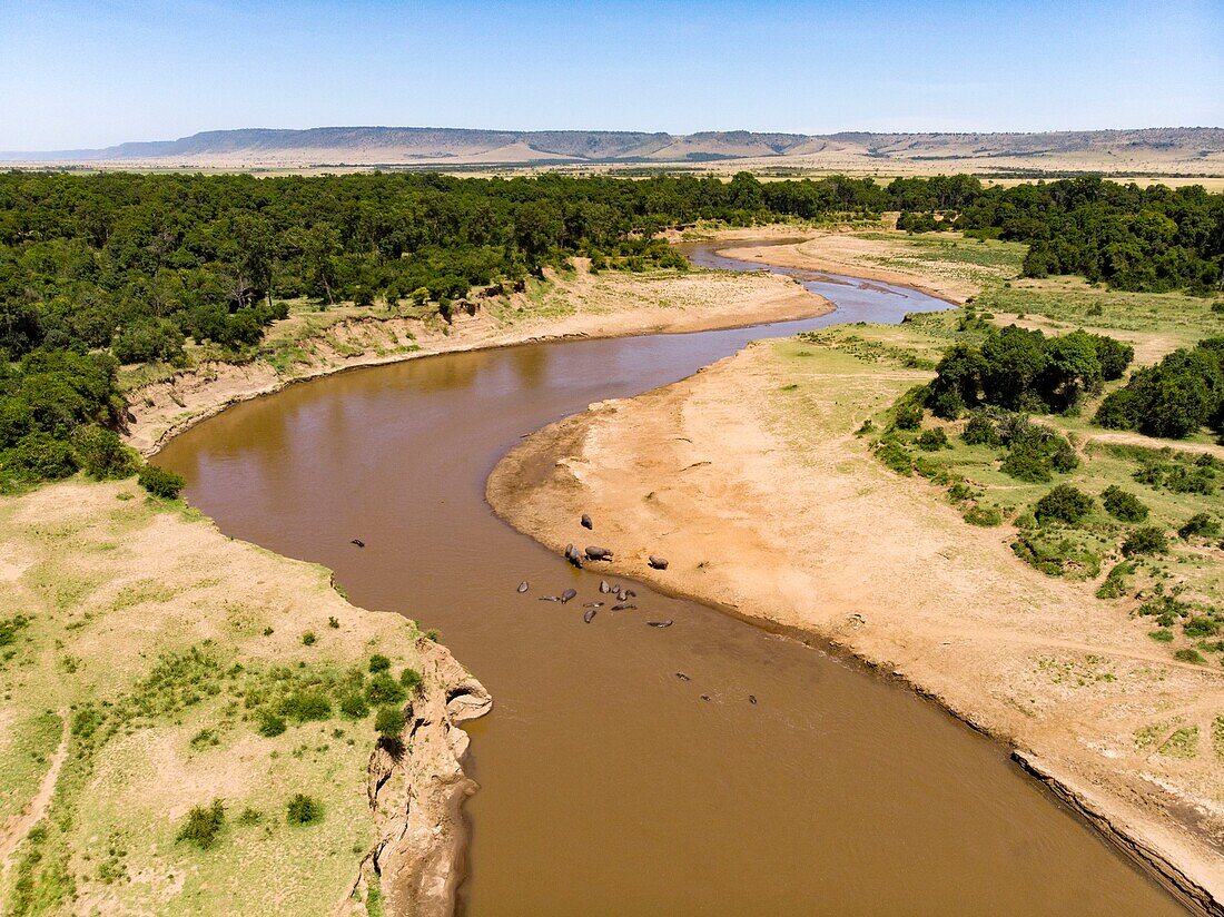 Kenya, Masai Mara Game Reserve, Mara river from a drone