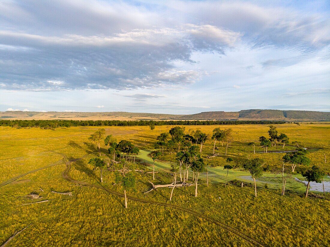 Kenia, Masai Mara Wildreservat, Paradiesebenen aus einer Drohne
