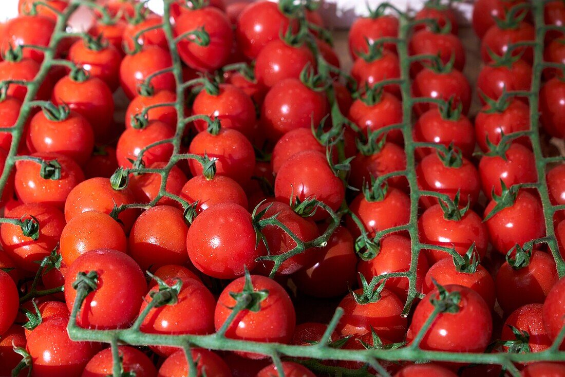 France, Aude, Narbonne The Valliere halls, market, Cherry tomatoes