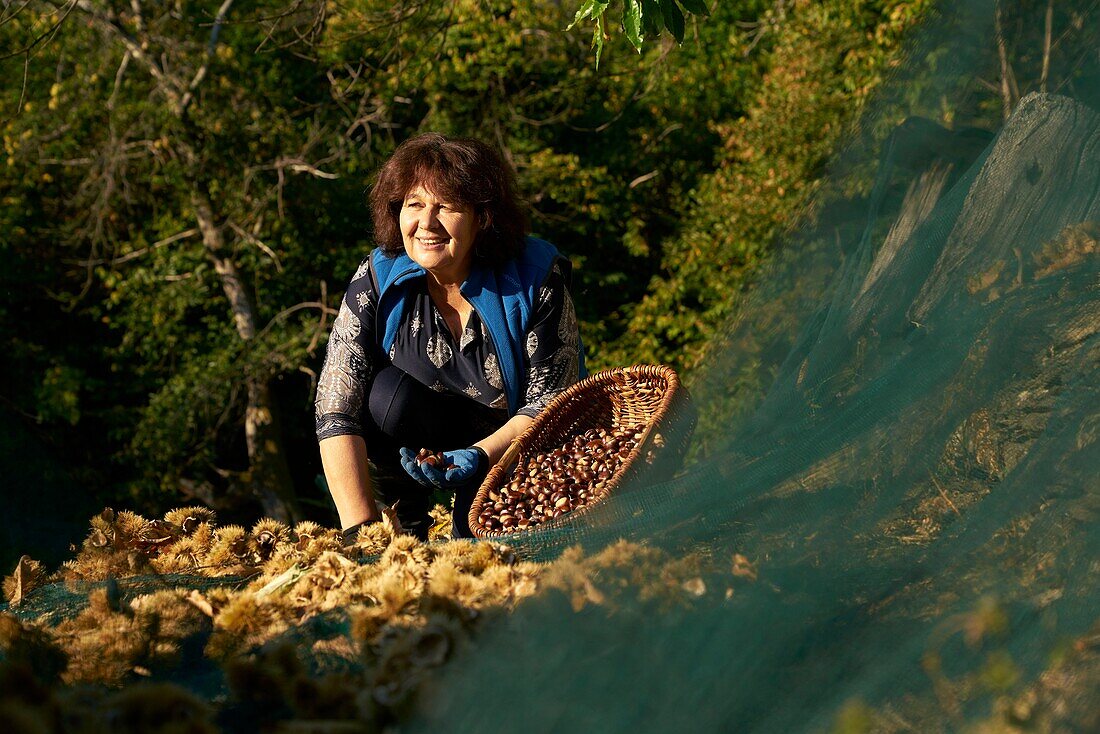 France, Lozere, Collet de Deze, locality Charbonnier, Nadia Vidal, producer of Chestnut Cevennes and president of the Cevennes chestnut grove