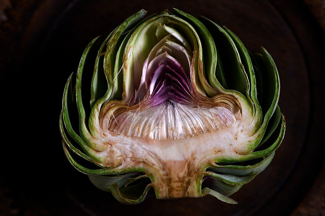 France, Pyrenees Orientales, Torreilles, Artichokes of Roussillon cut in half