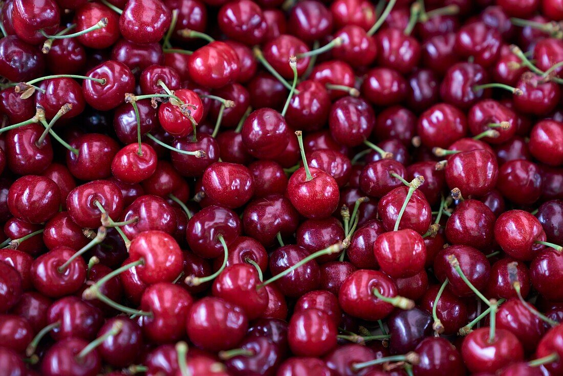 France, Haute Garonne, Bagneres de Luchon, Market Place Gabriel Rouy. cherries close up