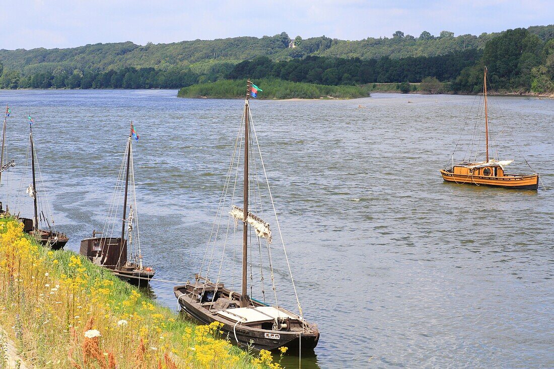 Frankreich, Indre et Loire, Loiretal als Welterbe der UNESCO, Brehemont, traditionelle Flachbodenboote auf der Loire