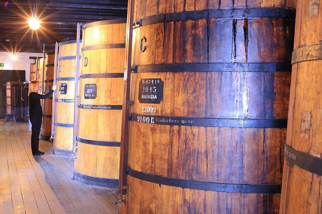 Portugal, Madeira Island, Funchal, Avenida Arriaga, Madeira Wine Company, Madeira barrels (natural sweet wine) of different grape varieties (Verdelho, Terrantez, Malvasia ...) stored in the cellar of Blandy's brand (founded in 1811)