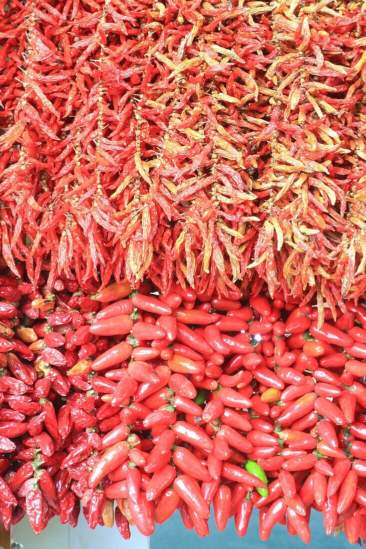 Portugal, Madeira Island, Funchal, market (Mercado dos Lavradores), Red Peppers for sale