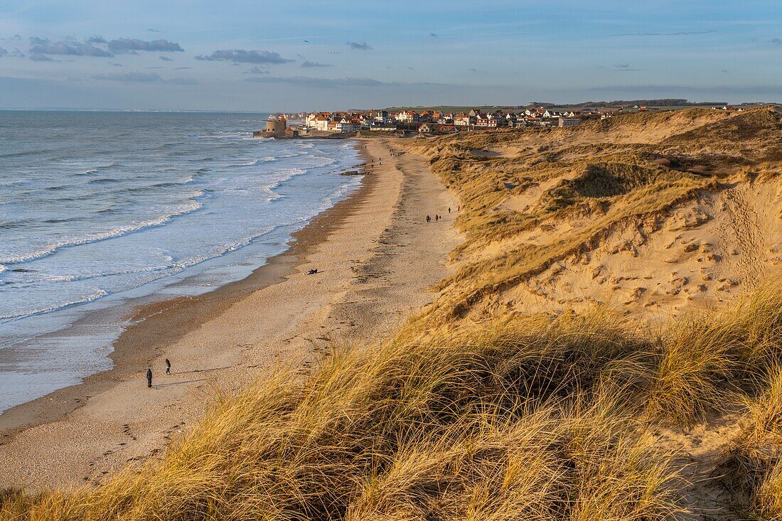 France, Pas de Calais, Opal Coast, Ambleteuse, the Slack dunes near Ambleteuse (Opal Coast), view of Ambleteuse and its fort Vauban