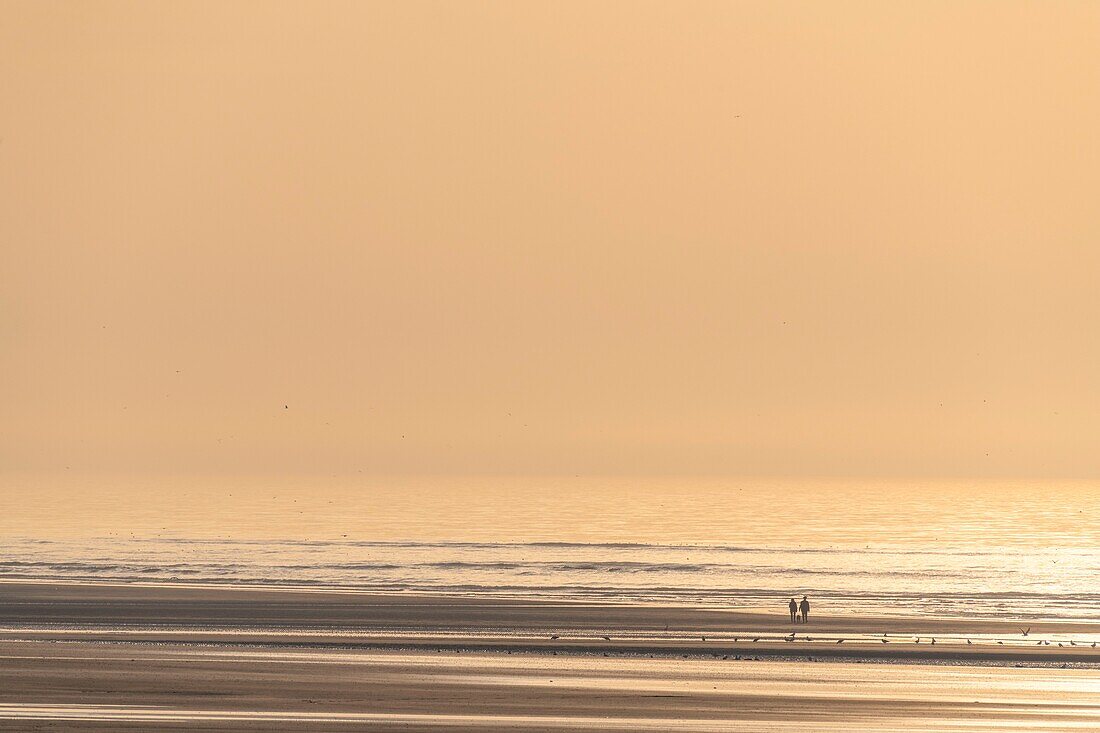 France, Somme, Bay of Somme, La Molliere d'Aval, Cayeux sur Mer, Walkers on the beach at sunset