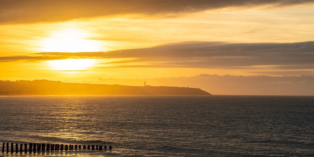 France, Pas de Calais, Opal Coast, Wissant, view of Gris Nez Cape and breakwater poles at dusk