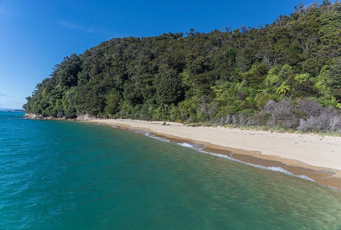 New Zealand, South Island, Tasman region, Abel Tasman National Park, Kaiteriteri