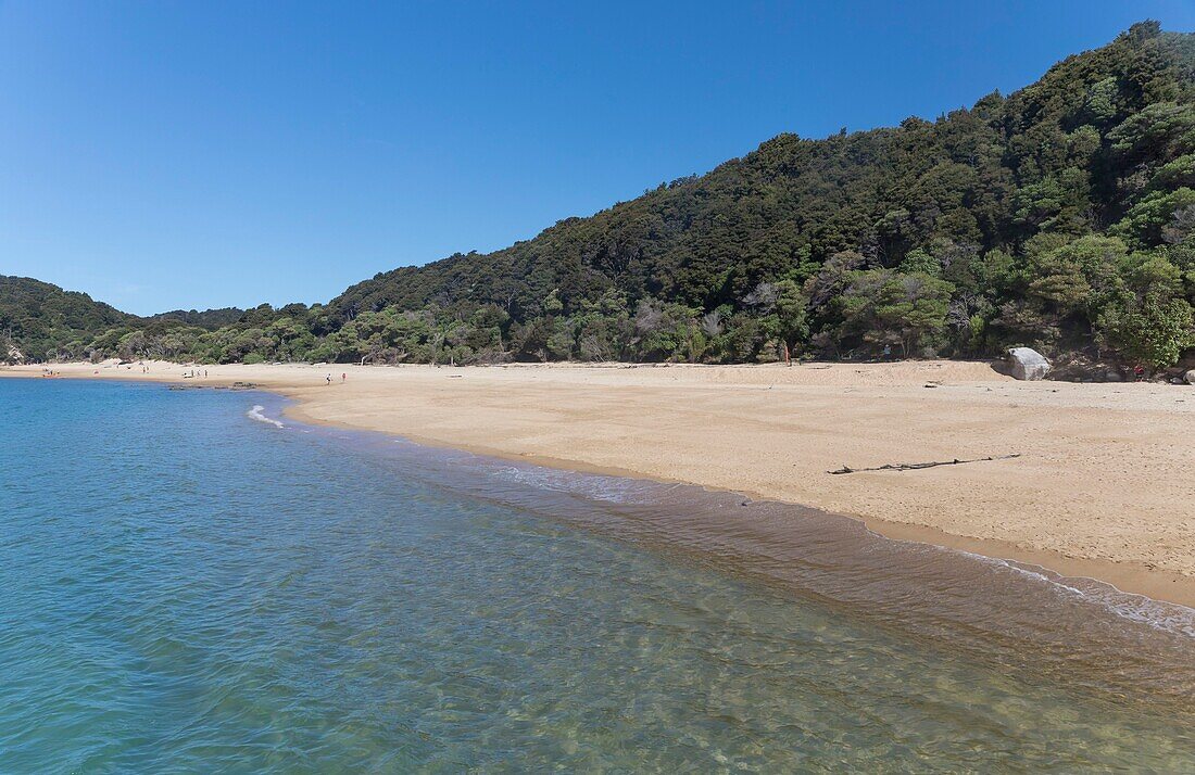 New Zealand, South Island, Tasman region, Abel Tasman National Park, Kaiteriteri