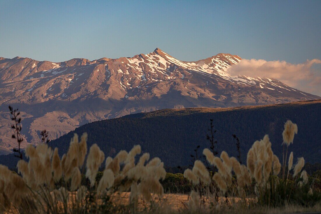 New Zealand, North Island, Waikato region, Tongariro National Park, labelled Unesco World Heritage Site, mount Ruapehu 2797 m