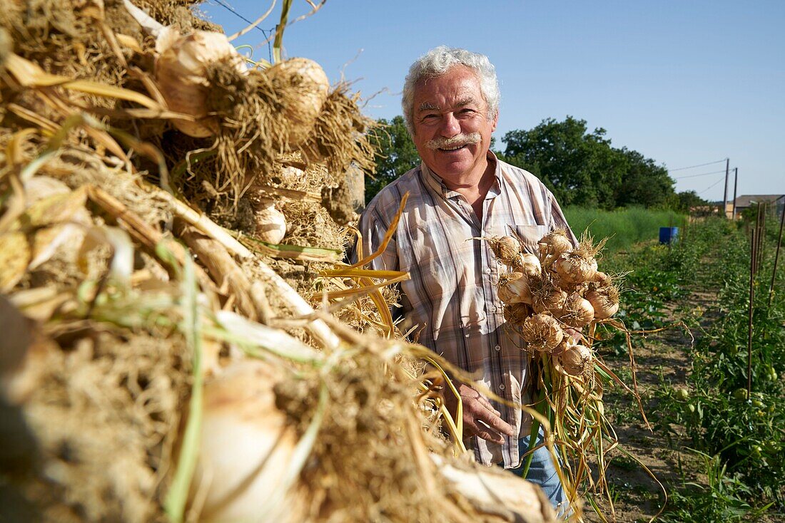 France, Tarn, Lautrec, portrait of Robert Molinier, producer of Lautrec Pink Garlic