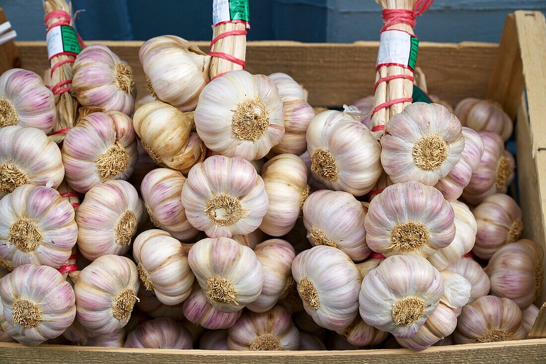 France, Tarn, Lautrec, La Ferme du Village shop, local produce sale, Lautrec garlic