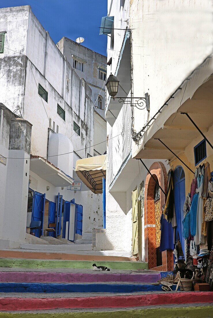 Marokko, Tanger Region Tetouan, Tanger, Katze auf Treppe mit bunten Stufen in einer Gasse der Medina