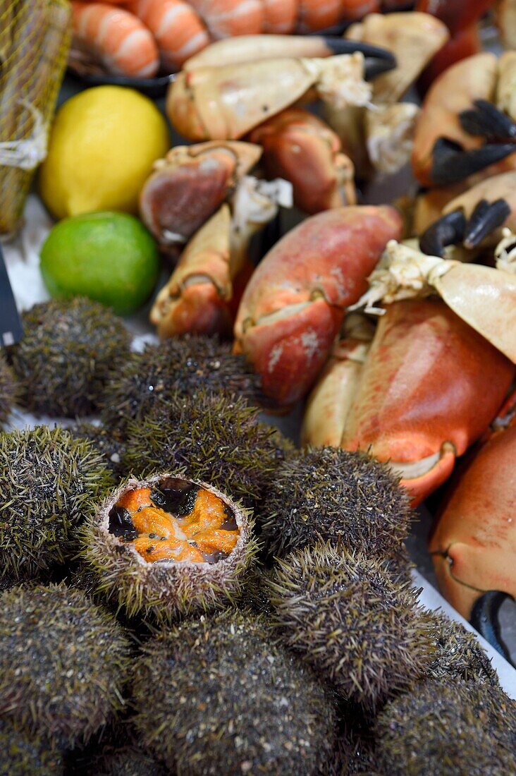 France, Calvados, Pays d'Auge, Trouville sur Mer, the fish market, seafood stall with sea urchins