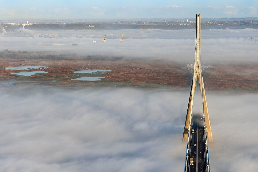 Frankreich, zwischen Calvados und Seine Maritime, die Pont de Normandie (Normandie-Brücke) überspannt die und taucht aus einem Wolkenmeer auf, im Hintergrund das Naturschutzgebiet der Seine-Mündung